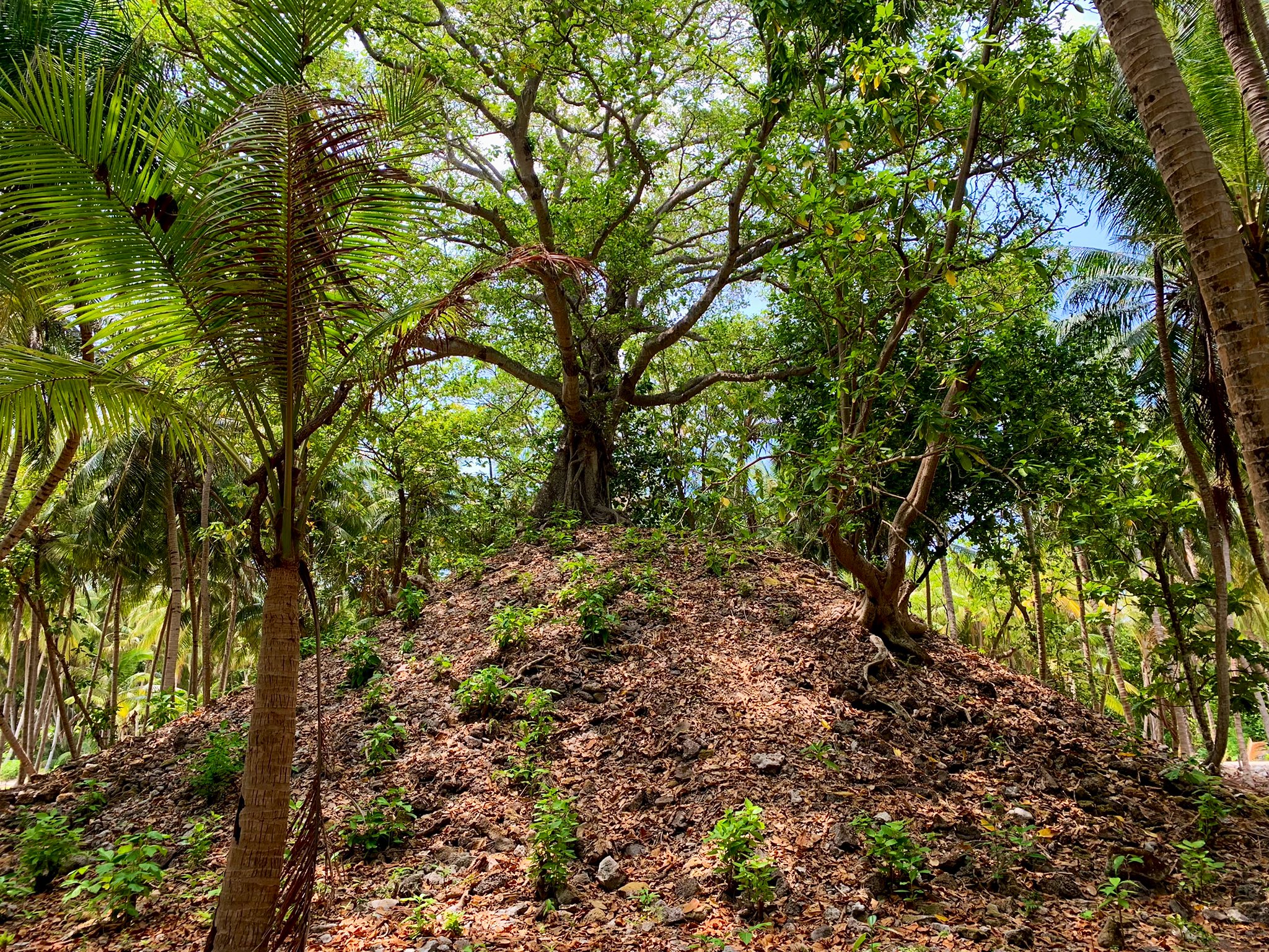 ފައިސާ ނެގުމަށްފަހު ލަންދޫ މާބަދި ސައިޓް ތަރައްގީ ނުކުރާ މައްސަލަ އޭޖީއަށް