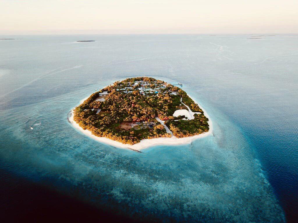 ކޯވިޑް-19: 2 ދިވެއްސެއްގެ ގައިން ޝައްކުކުރެވޭ އަލާމާތްތައް ފެނިގެން ޓެސްޓުކުރަނީ