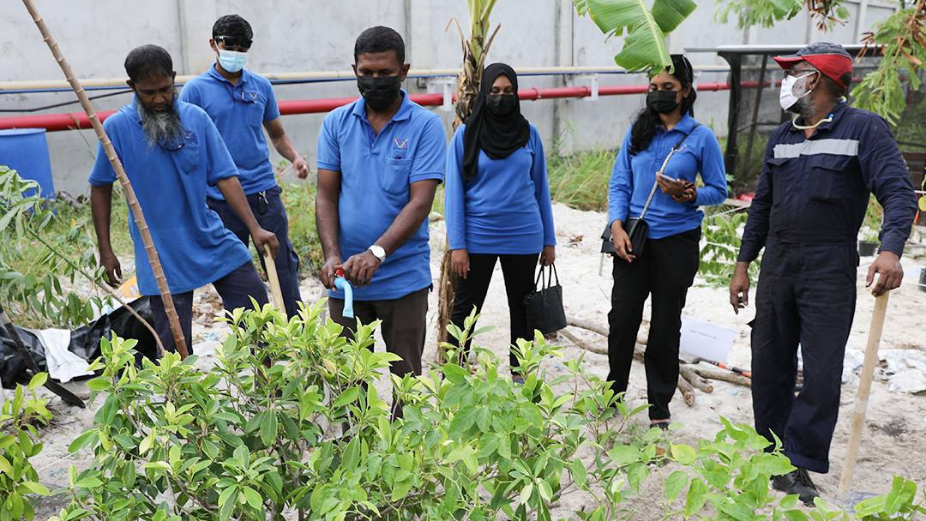 ތިމާވެށީގެ ދުވަސް ފާހަގަ ކުރަން ސްޓެލްކޯއިން ގަސް އިންދަނީ