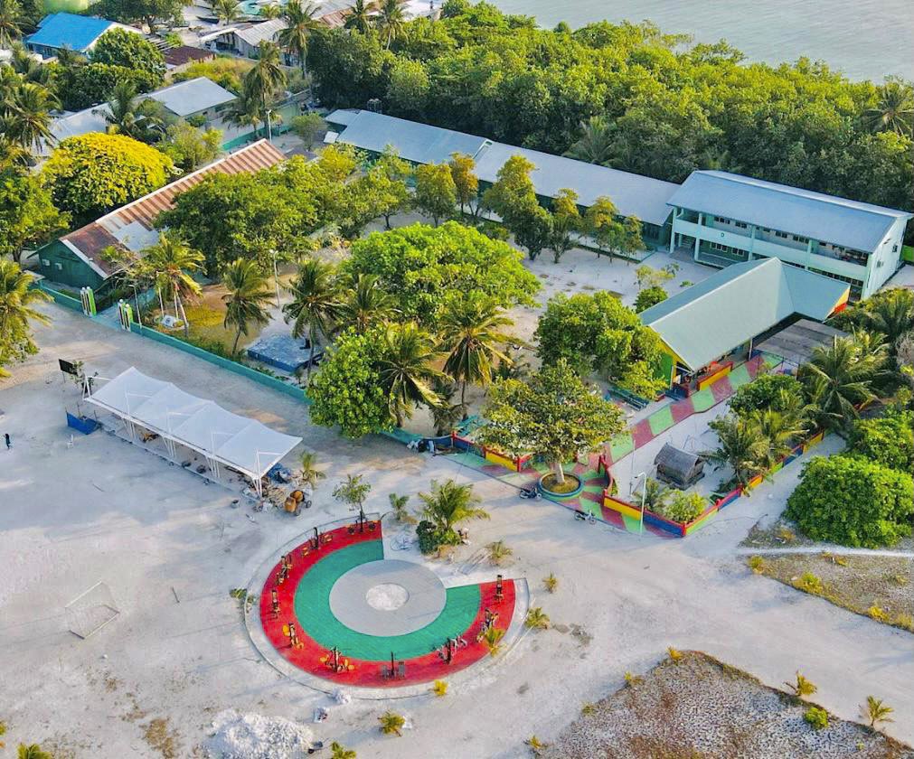 އުކުޅަހުގައި ބެހެއްޓި ކްރިސްމަސް ގަހެއް ނަގައިފި