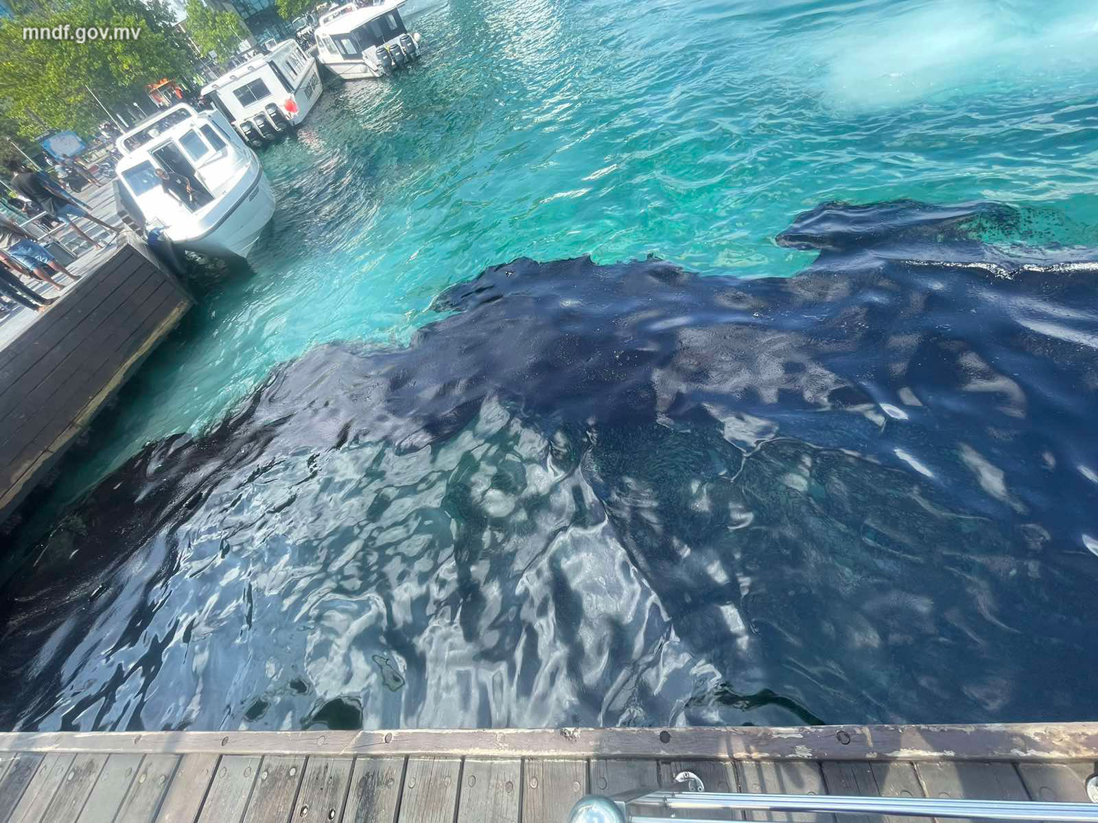 ރަސްމީ ފާލަމާއި 3 ނަންބަރު ޖެޓީއާ ދެމެދު ގިނަ އަދަދެއްގެ ކަޅުތެޔޮ