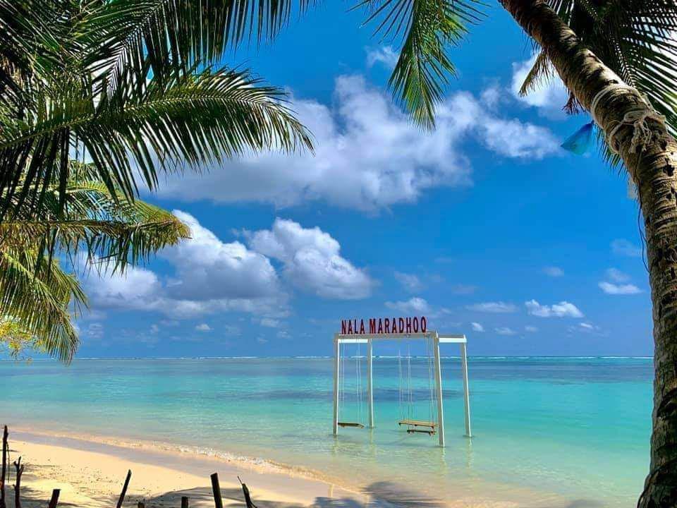 އައްޑޫ މައިގޭޓުގައި ސަނީފު ޓަކި ޖެއްސެވުމާއެކު މުޅި އައްޑޫ .....!