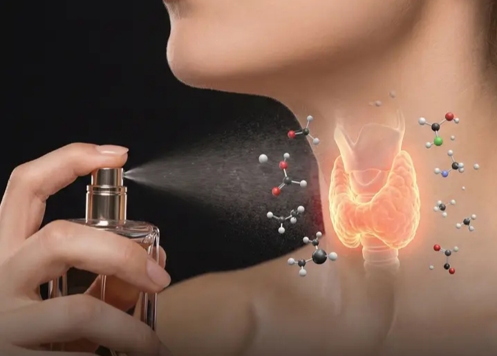 ސެންޓު ޖަހުމުގައި ސަމާލުވޭ: ތައިރޮއިޑަށް ނުރައްކާވެދާނެ!