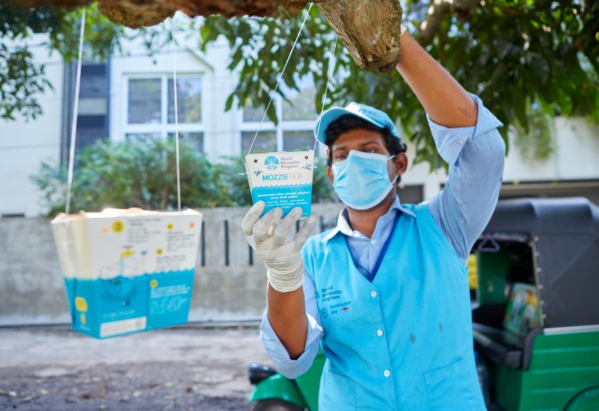 ސްރީލަންކާގައި ޑެންގީ ކޮންޓްރޯލުކުރުމަށްޓަކާ ހަފުތާ ބަންދުގައި ގެއިން ނުނުކުތުމަށް އެދެފި