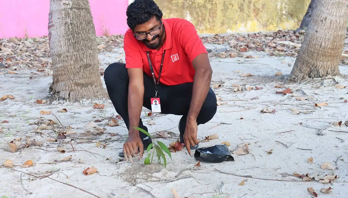 ނިޔާވި އަލީ ސާމިން