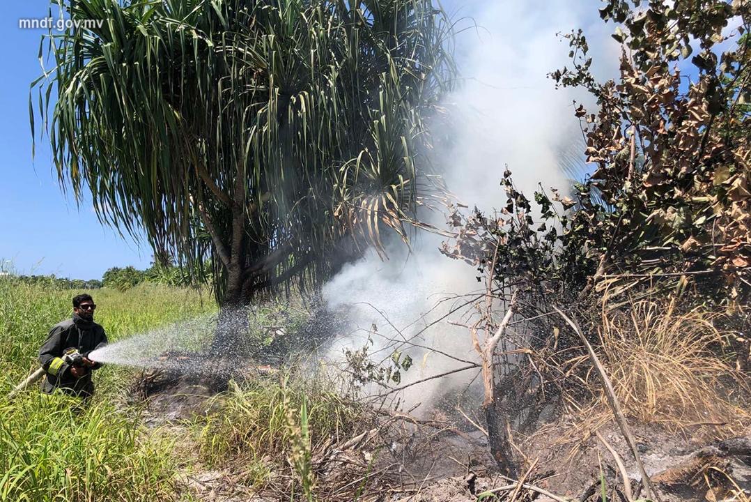 ލ. ގަމު ވަލުތެރޭގައި ރޯވި އަލިފާން ކައްދޫ ފަޔަރ ސްޓޭޝަނުގެ ސިފައިން ނިއްވާލައިފި