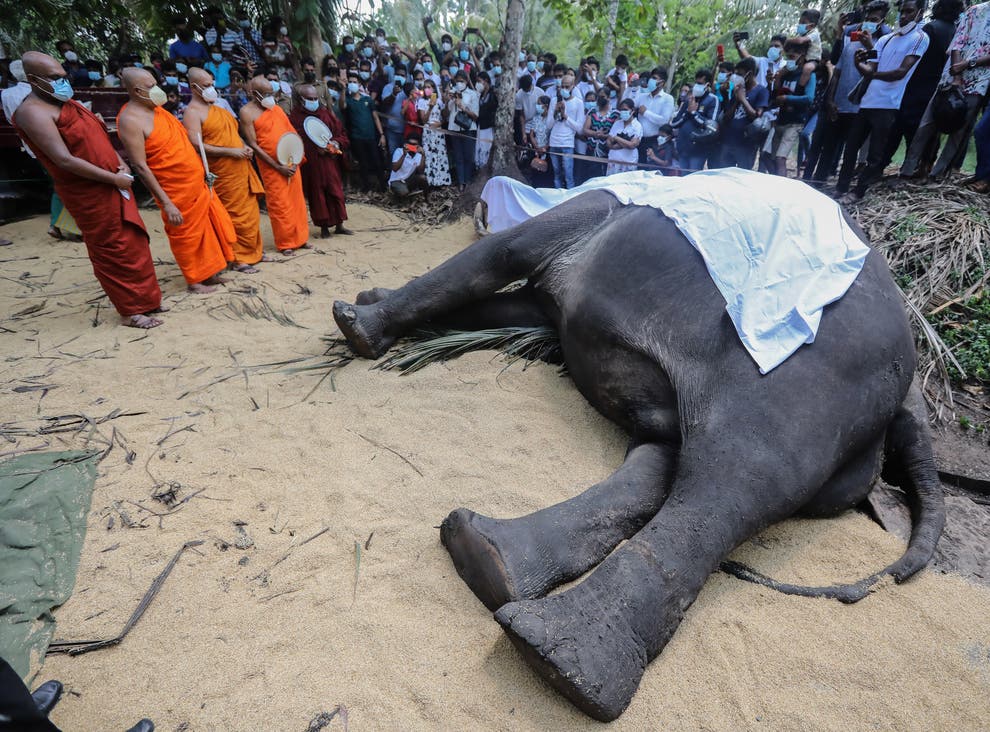 ލަންކާގައި މަރުވި އެތެއްގެ ޚާއްޞަ ޖަނާޒާއެއް ސަރުކާރުން ބާއްވައިފި