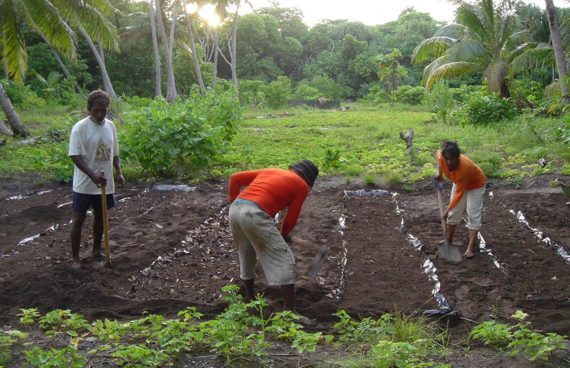 އެގްރޯނެޓަށް ދޫކުރި ދެރަށުގެ މަސައްކަތް މިއަހަރު ފަށަނީ