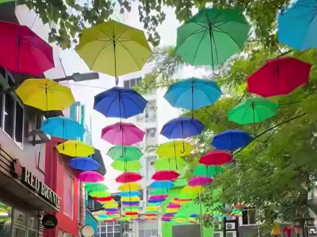 ބިސްބުރު ކައިރި ތަފާތު ކުލަތަކެއް: މަގުމަތީގައި އެލުވި ކުޑަތަކުން މުޅި ސަރަހައްދު އުޖާލާވެއްޖެ