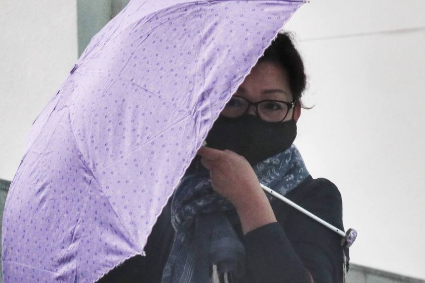 The Singaporean woman, who was sentenced to five months' jail.