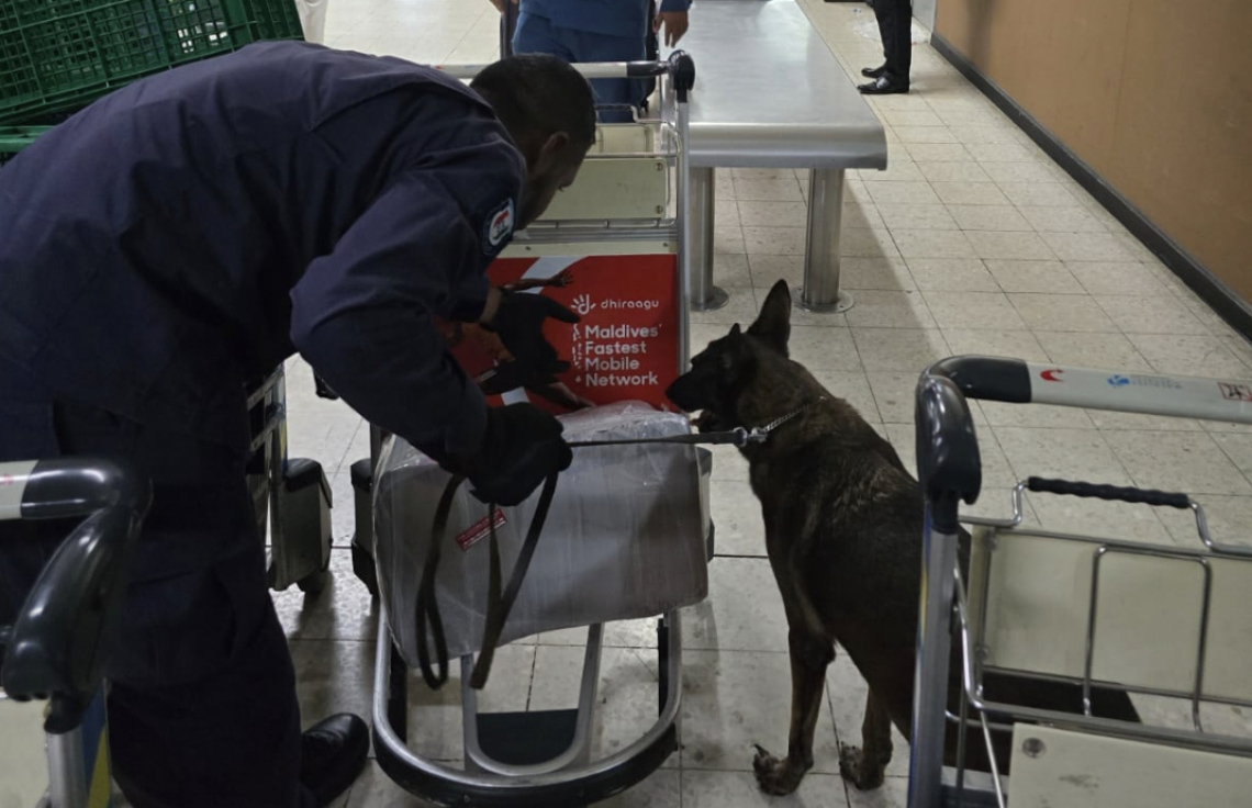 ދުންފަތުގެ ބާވަތްތައް ފަތުރުވެރިންނަށް ގެނެވޭ މިންވަރު ބޮޑުތަނުން ދަށްކޮށް ގަވާއިދު ހަރުކަށިކޮށްފި