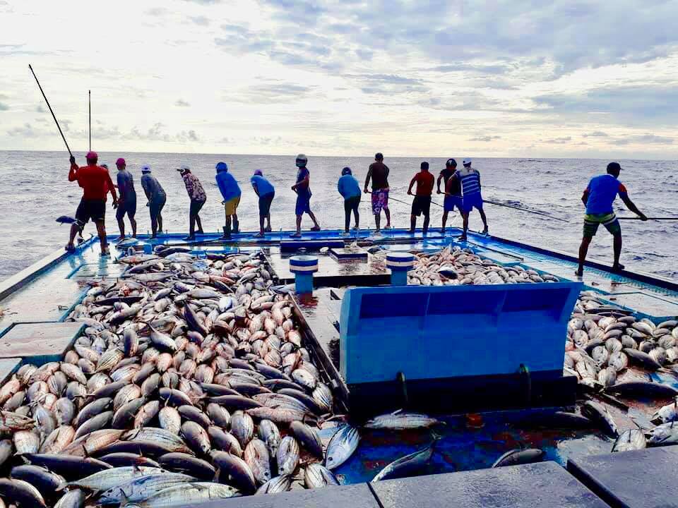 މަސްވެރިންނަށް އެސްޓީއޯ ރޭޓްގައި ތެޔޮ ވިއްކަން ފަށައިފި