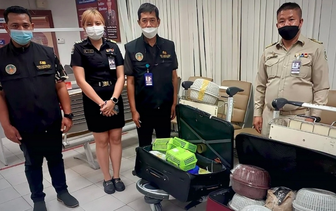 ތައިލެންޑުން ވަގަށް ދޫނިތަކެއް ބޭރުކުރަން އުޅުނު ދިވެއްސަކު ހައްޔަރުކޮށްފި