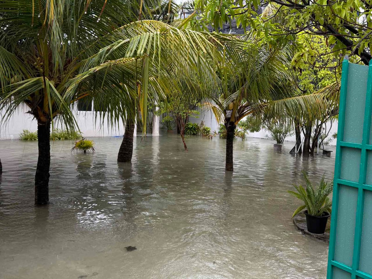 ގދ. ތިނަދުއަށް ކުރި ވިއްސާރައިގައި ބޮޑެތި ގެއްލުންތަކެއް
