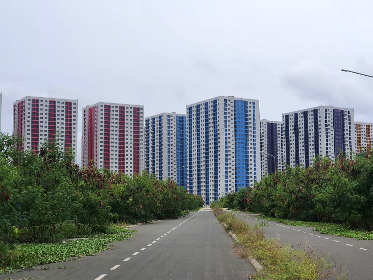 ހިޔާ ފްލެޓްތައް ކުއްޔަށްދޭން އިޝްތިހާރު ކުރަނީ