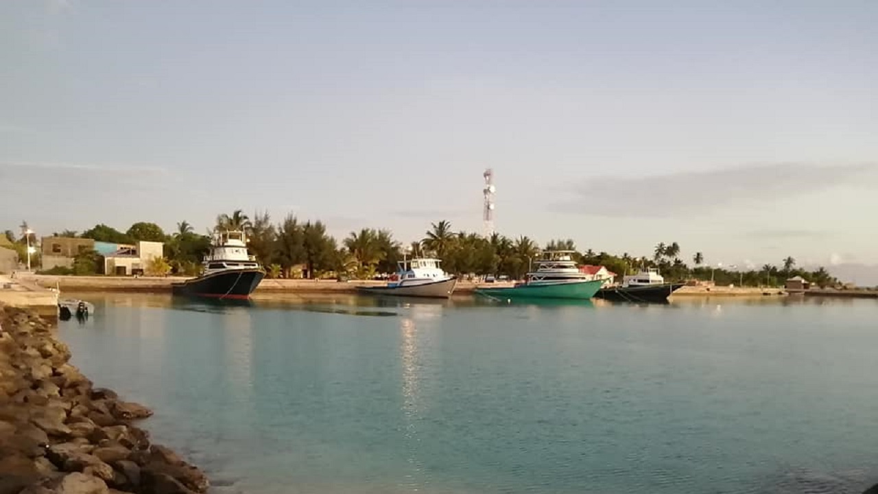 ދެއްވަދޫ ކްލަސްޓަރ: 52 މީހުން ޕޮޒިޓިވް؛ ހައިރިސްކް 101 ކޮންޓެކްޓްސް