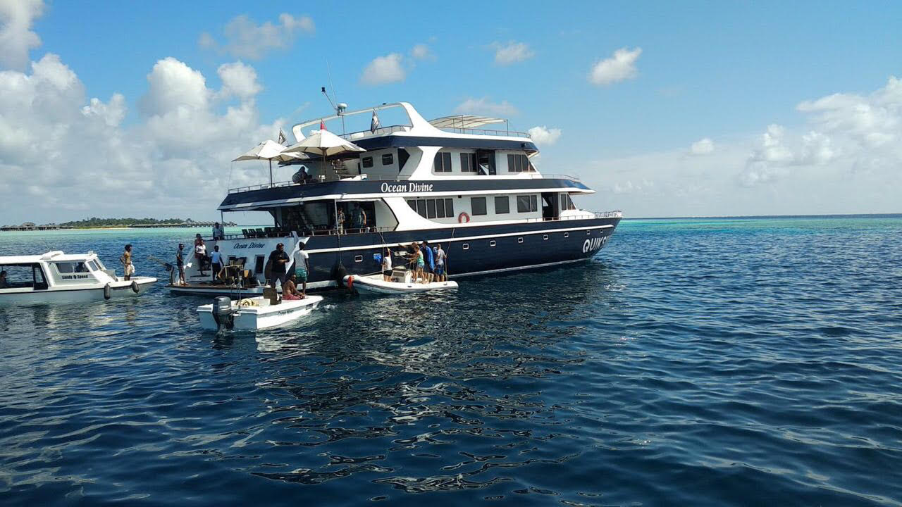 އޯޝަން ޑައިވިން ސަފާރީގައި ރޯވެ ސަފާރީގެ ވެރިފަރާތް ފިހިއްޖެ