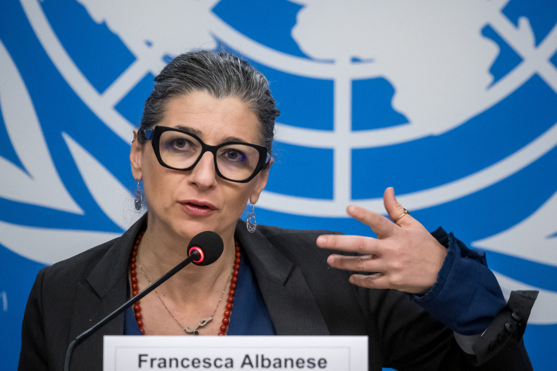 UN Special Rapporteur on the occupied Palestinian territories Francesca Albanese