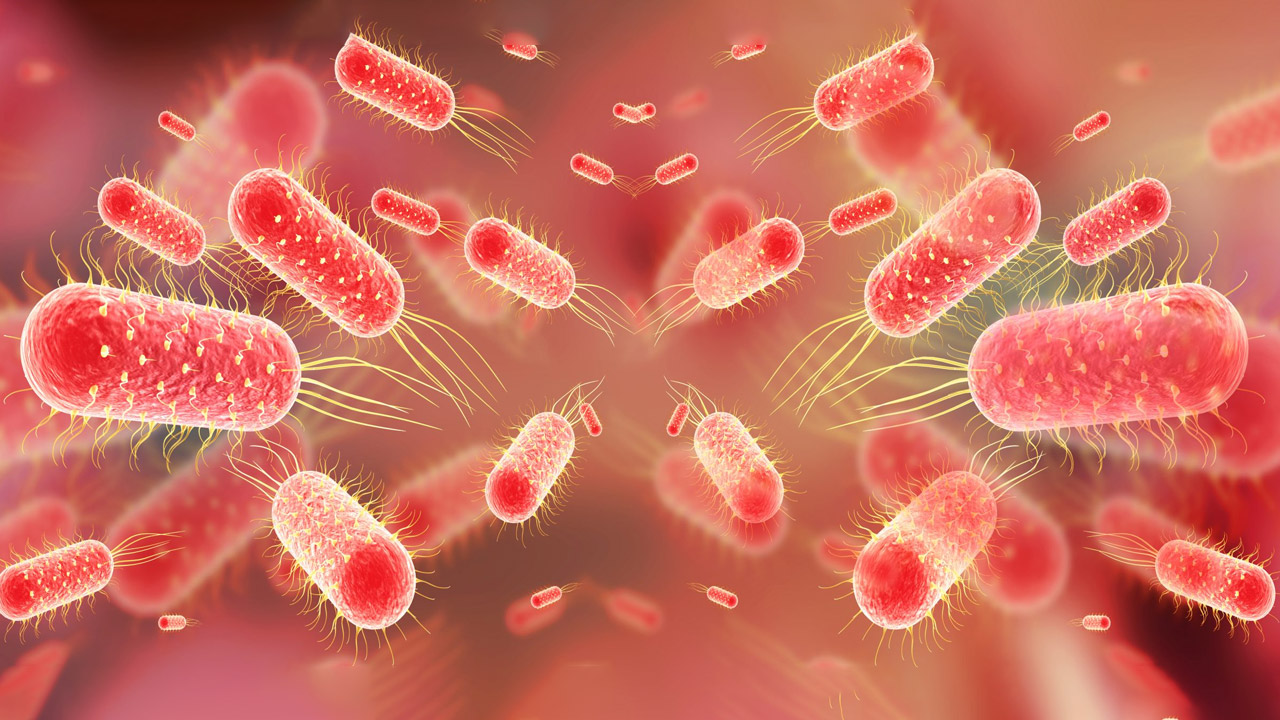 އެންޓިބަޔޮޓިކަށް ނުގުޑާ ޓައިފޮއިޑްގެ އާ ވައްތަރެއް ދެކުނު އޭޝިއާގައި ފެތުރެނީ