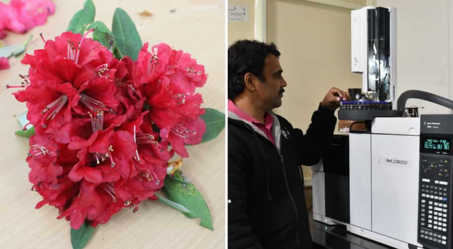 މަލަކުން ކޮވިޑް ފަރުވާއެއް ހޯދުމަށް ތަހުލީލު ކުރަނީ