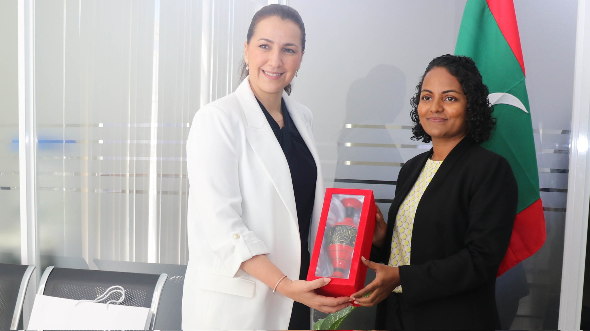 ޔޫއޭއީގެ ތިމާވެއްޓާބެހޭ ވަޒީރު ޝައުނާއާއި ބައްދަލުކުރައްވައިފި