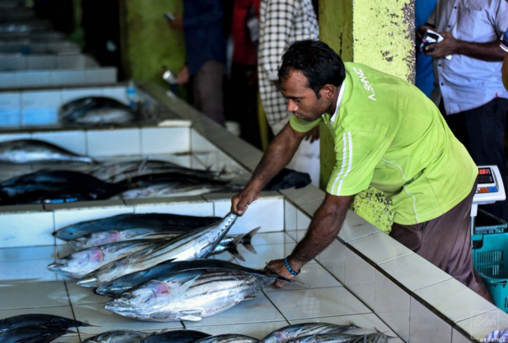 މަސްމާރުކޭޓު އިމާރާތުގައި ގަވާއިދާ ހިލާފަށް ހިންގާ ވިޔަފާރިތައް ހުއްޓުވުމުގެ މަސައްކަތް ފަށައިފި