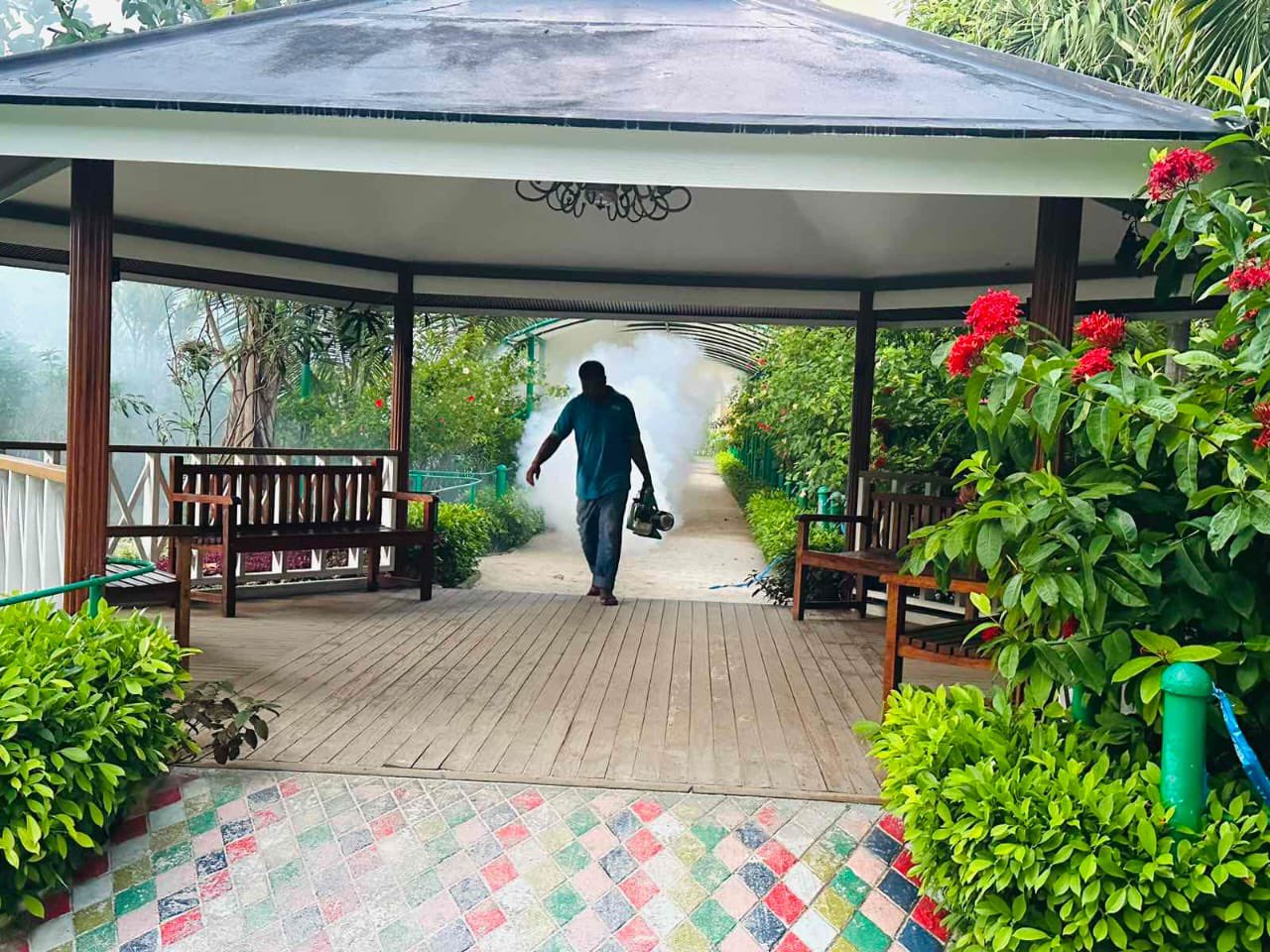 މާލެ ސިޓީގެ އެކި ސަރަޙައްދުތައް ފޮގް ކުރަން ފަށައިފި