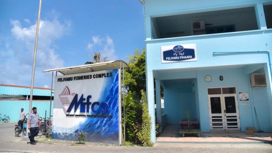 މަސް ގަންނަ އަގަށްވުރެ ބޮޑުއަގުގައި ބޭރުކުރާ ފުރަތަމަ ޝިޕްމަންޓް މިމަހު ބޭރުކުރެވޭނެ: މިފްކޯ