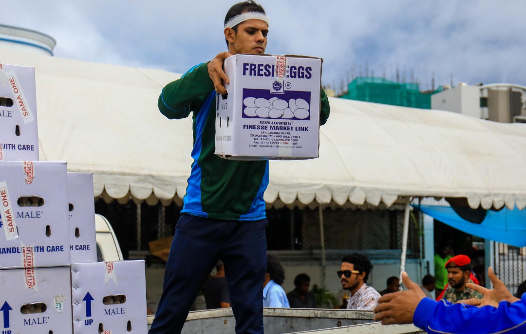 މުއްދަތު ހަމަވާ ތާރީހު އެނގޭގޮތަށް ބިސް ވިއްކުމަށް އަންގައިފި