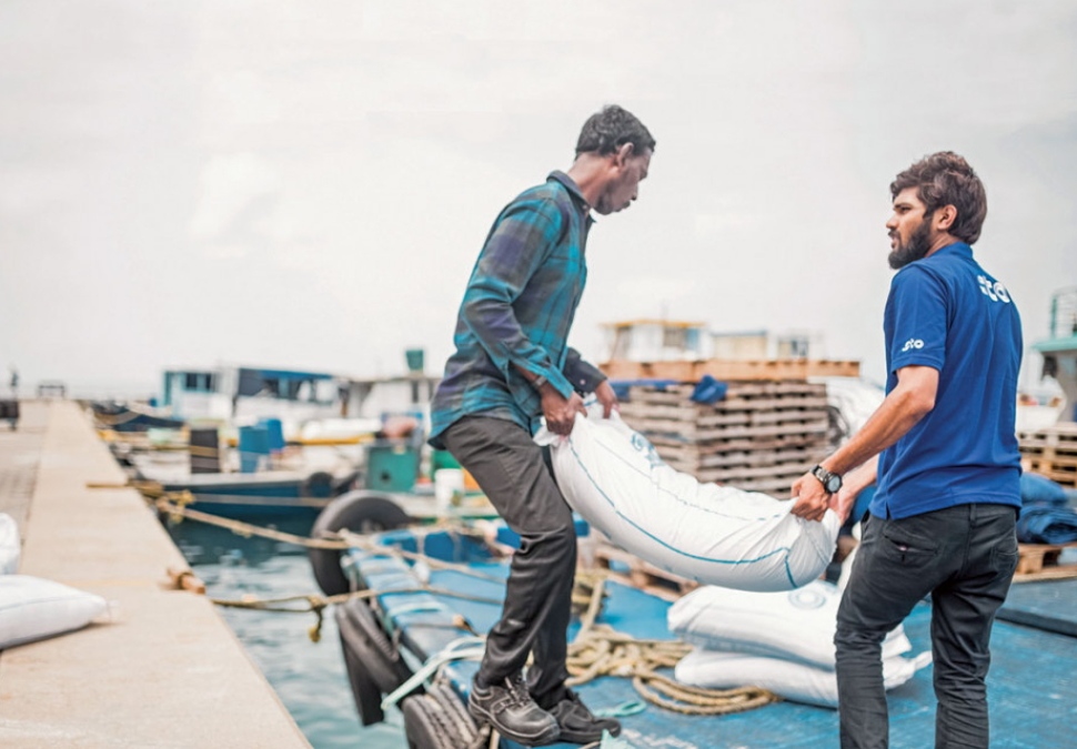 ގޭބިސީތަކަށް ހިލޭ ކާޑުގެ ބާވަތްތައް ބަހަން ފަށައިފި