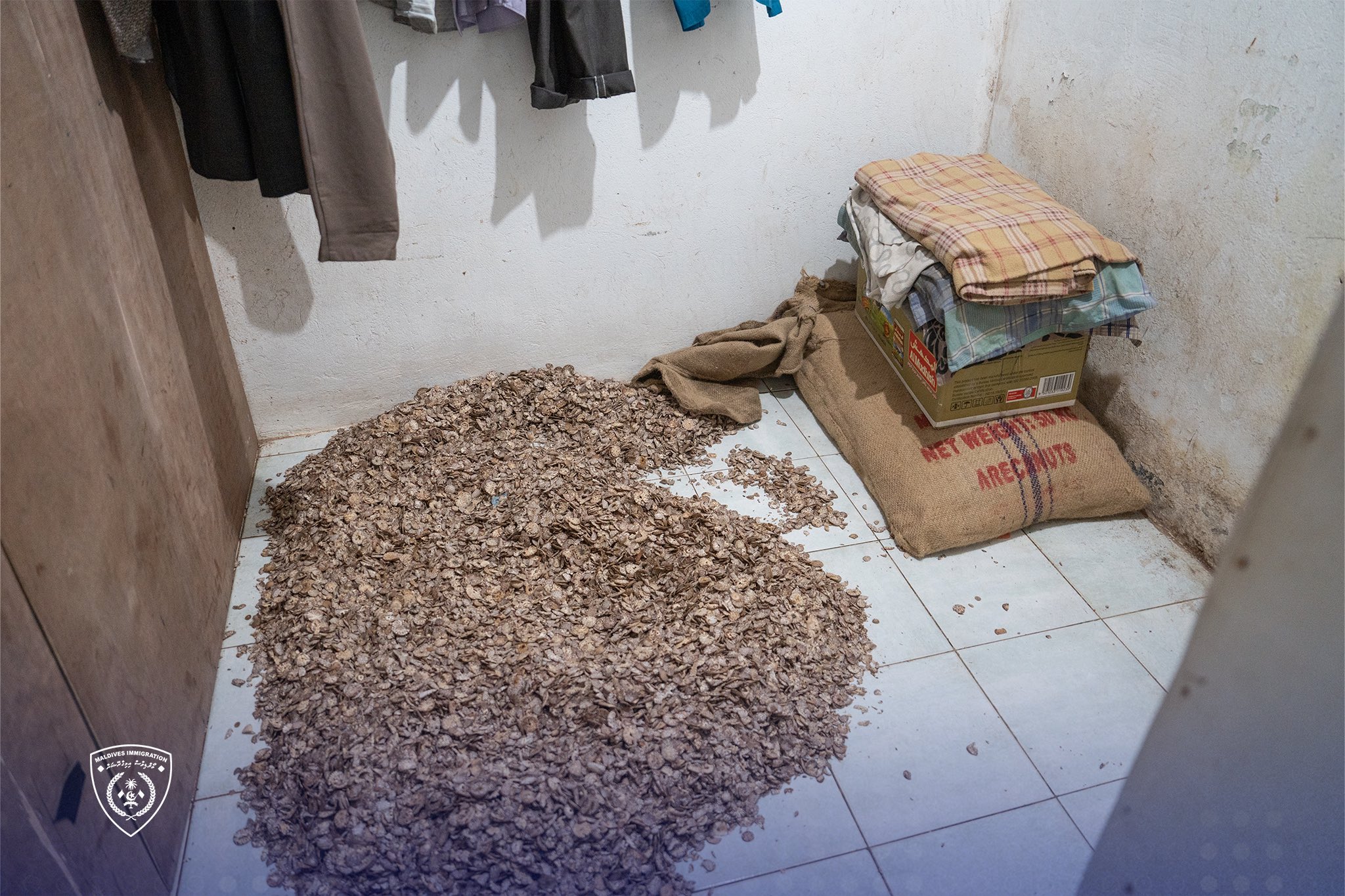 މިފަހަރު އަތުލައިގަތީ މުޑުދާރު ތަނެއްގައި ފޯއް ތައްޔާރުކުރާ ބިދޭސީންތަކެއް