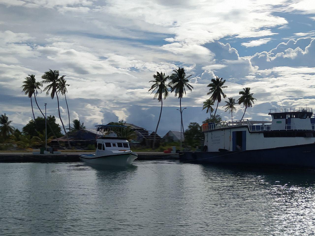 25 ރަށަކުން ބިން ވިއްކަނީ؛ ބޭރުގެ ފަރާތްތަކަށްވެސް ބިން ގަނެވޭ ގޮތަށް