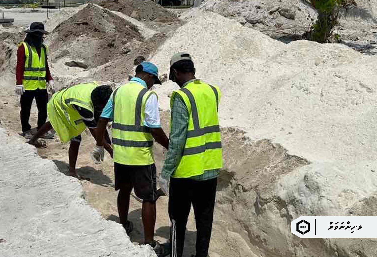 އާރްޑީސީން ޕީ.އެސް.އައި.ޕީގެ ގިނަ މަސައްކަތްތަކެއް