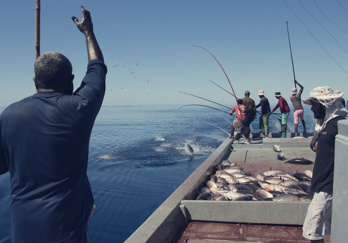 މަސްވެރިކަމާ ގުޅޭ ކޮމިޓީތަކުގެ މެމްބަރުކަމަށް ކުރިމަތިލާން ހުޅުވާލައިފި