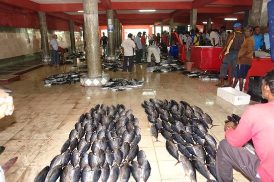 މަސްމާރުކޭޓުގެ އިމާރާތުގެ މަތީގައި ގަވާއިދާހިލާފަށް ހިންގާ ތަންތަން ހުސްކުރަން އަންގައިފި