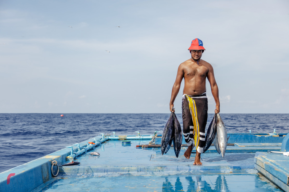 ދިވެހިންނަށް ރާއްޖެއިން ބޭރުން މަސްވެރިކަމުގެ ދާއިރާއިން ކިޔެވުމުގެ ފުރުސަތު ހުޅުވާލައިފި