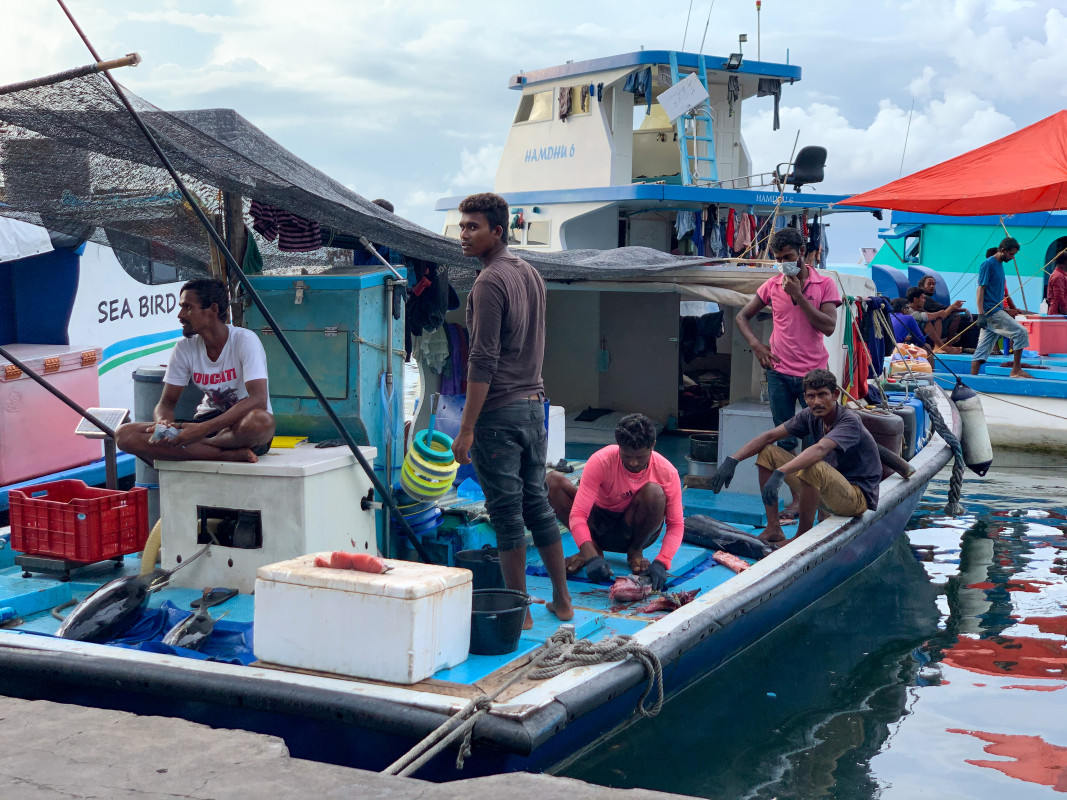 ސަރުކާރުގެ ވިސްނުމަކީ މަސްވެރިކަން އާއިލީ ވިޔަފާރިއަކަށް ހެދުން: މިނިސްޓްރީ