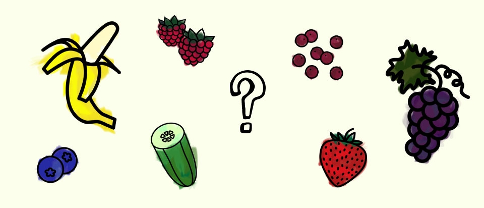 ދޮންކޭލަކީ ބެރީއެއް؛ ސްޓްރޯބެރީއަކީ ބެރީއެއް ނޫން؟