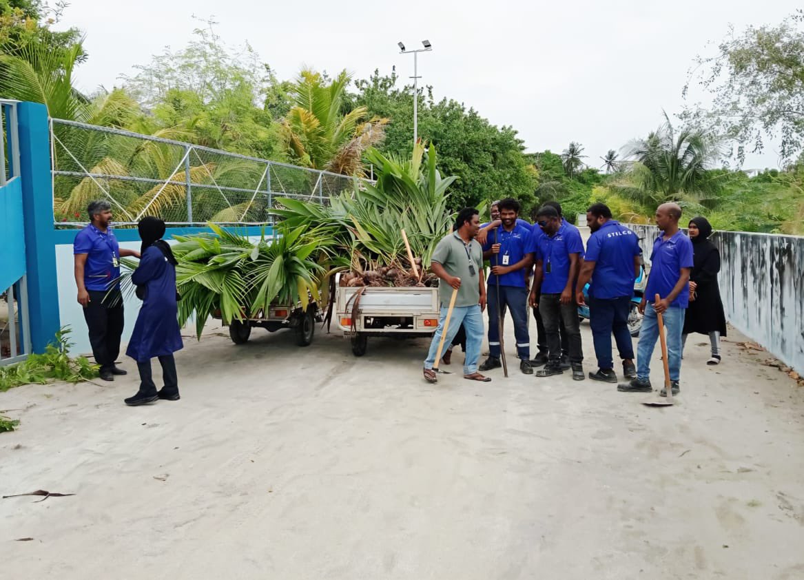 ފަސް މިލިއަން ގަހުގެ އަމާޒަށް ވާސިލުވުމަށް ސްޓެލްކޯއިން ސިލްސިލާކޮށް ގަސް އިންދުން ކުރިއަށް