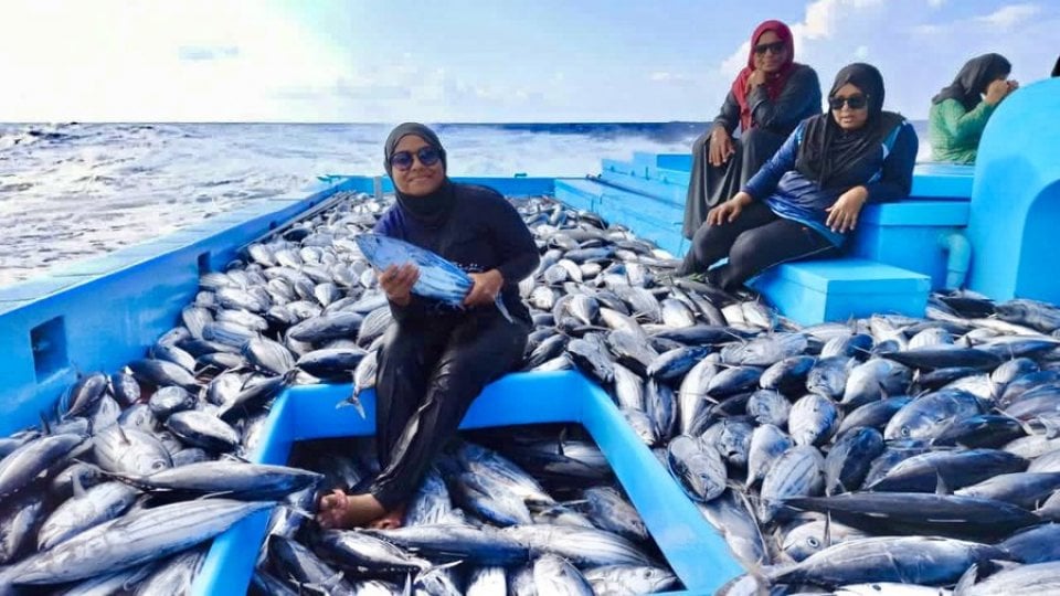 ބަލިވާ ޓީމް މަހަށްދާން ބުނަނީ މަސްވެރިކަމަކީ މާ ދަށު ދަރަޖައިގެ ކަމަކީތަ؟