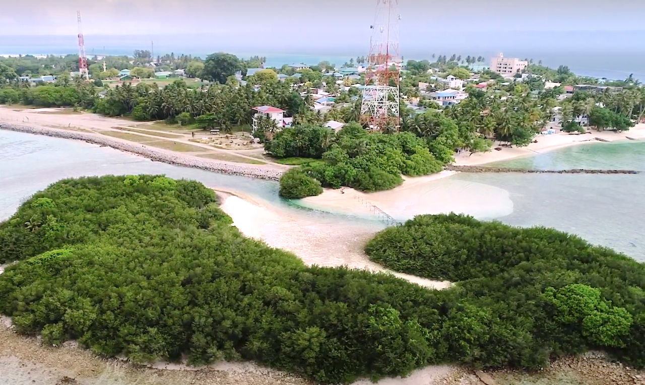 އިސްރާއިލުގެ ފަތުރުވެރިއަކު ތުލުސްދޫން ބާލައިިފި