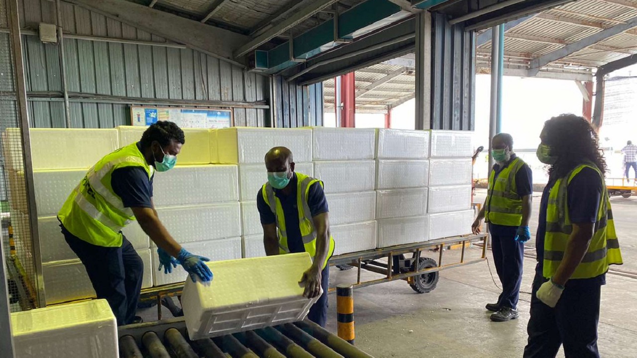 ކޯވިޑް-19: އެއާޕޯޓް ކާގޯ ޑިޕާޓްމަންޓުން 32 މީހުން ޕޮޒިޓިވް ވެއްޖެ