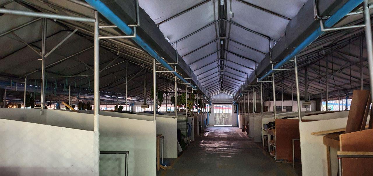 ކޯވިޑް-19: މާލެއިން އިތުރު މީހަކު ބައްޔަށް ޕޮޒިޓިވް ވެއްޖެ