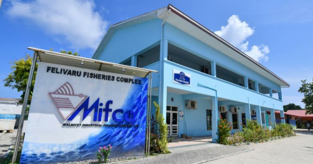 މިފްކޯ އެސްޓީއޯގެ ދަށުން ވަކިކޮށް، ސަރުކާރުގެ ސައްތައިންސައްތަ ހިއްސާވާ ކުންފުންޏަކަށް