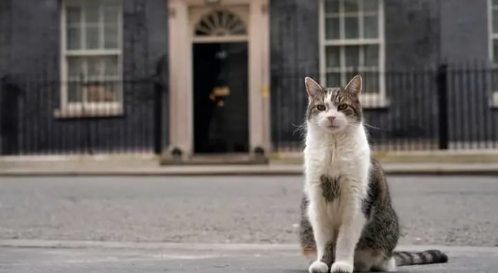 ހަ ބޮޑުވަޒީރުން ބަދަލުވީއިރުވެސް ލެރީ ހުރީ ސާބިތުކަމާއެކު: "ޑައުނިންގ ސްޓްރީޓް" ގައި 15 އަހަރު