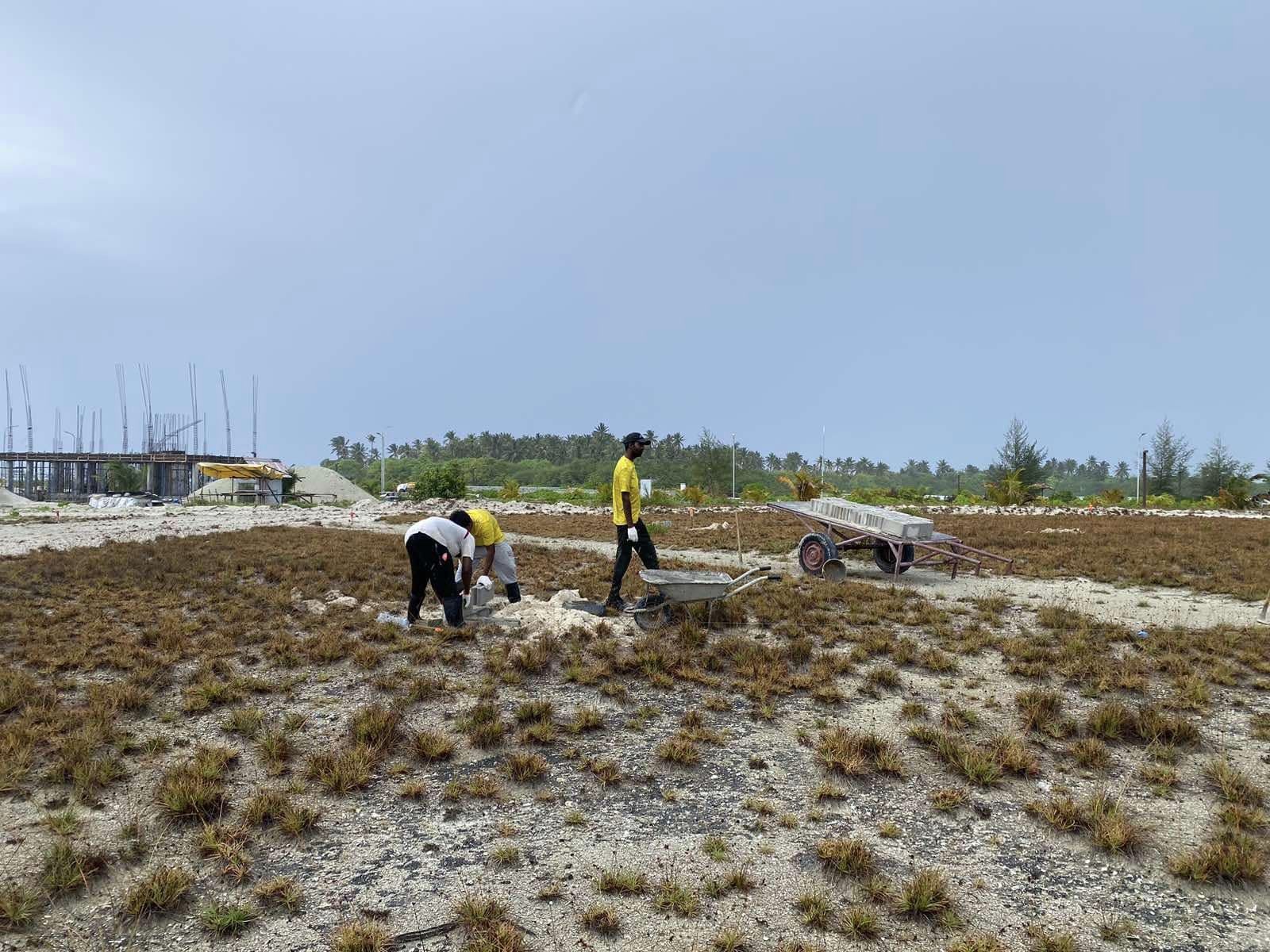 އައްޑޫ ފޭދޫން ދޫކޮށްފައިވާ ގޯތިތަކުގެ އިން ވަކިކުރުމުގެ މަސައްކަތް ފަށައިފި
