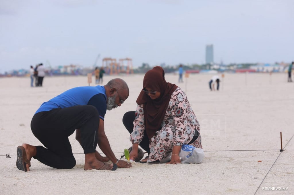 ދައުލަތުގެ ސިއްކަ ޖެހި ރަޖިސްޓްރީތައް ބާތިލުކުރުން: ބޯހިޔާވަހިކަމުގެ ހައްގު ފޭރިގަތުމުގެ ބޮޑު ޖަރީމާއެއް!