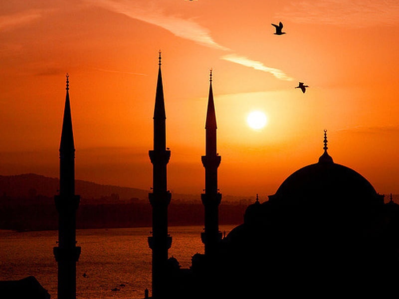 ދުނިޔެބަދަލުކޮށްލެއްވި ނަބިއްޔާ - 40