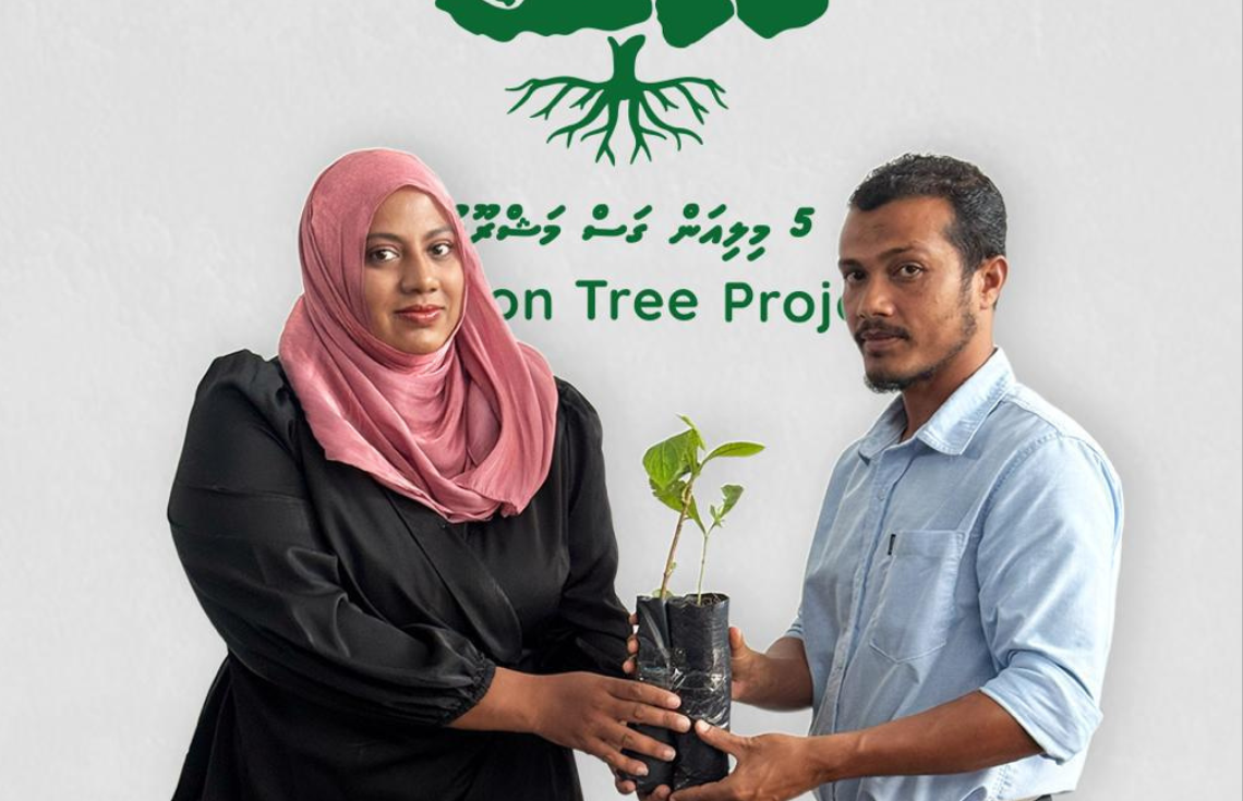 ލަންކާ ސަރުކާރުން ހަދިޔާކުރި ހައިވަކަރު ގަސްތައް ރިސޯޓުތަކަށް ބެހުމުގެ މަސައްކަތް ފަށައިފި