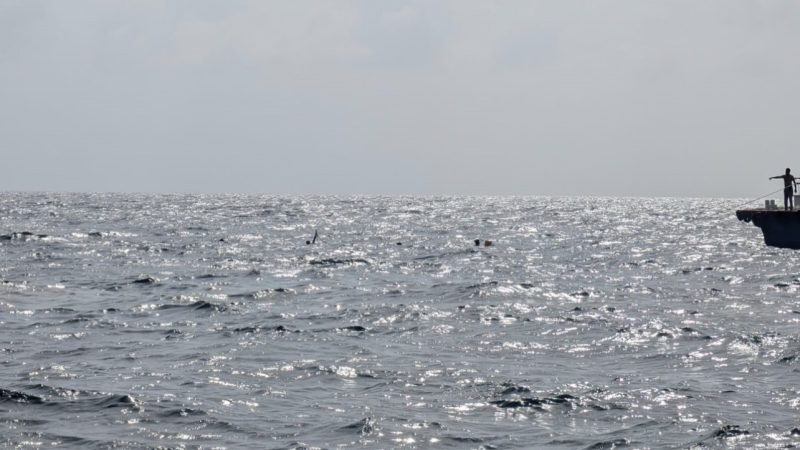 ކުމުންދޫ ކައިރިން ދޯންޏެއް ބަންޑުން ޖަހާލި ޙާދިސާގައި ޙާލުދެރަވި ދިވެއްސަކު ނިޔާވެއްޖެ